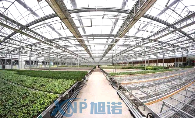 蔬菜溫室大棚可以使用香蕉视频首页做骨架嗎.jpg